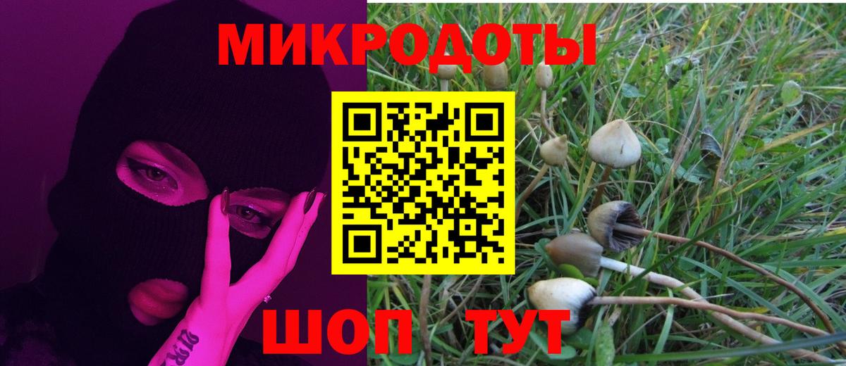 Псилоцибиновые грибы мухоморы Жигулёвск